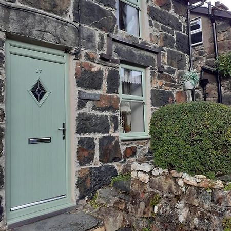 Villa Bryn Cilio Beddgelert Esterno foto
